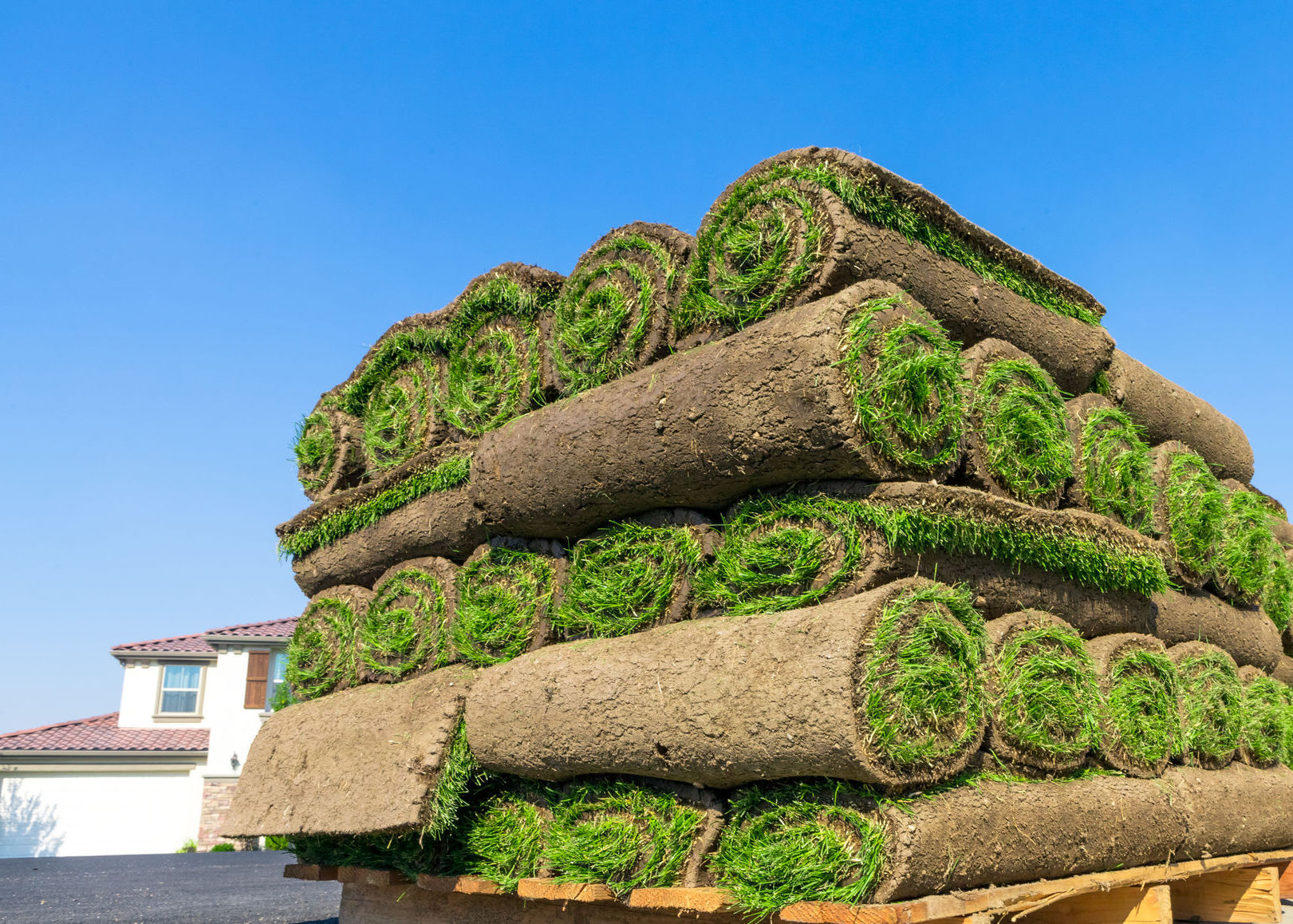 Farming Sod