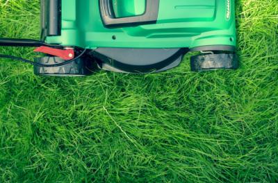 Zeon Zoysia Grass: A Sustainable and Environmentally Friendly Lawn Option