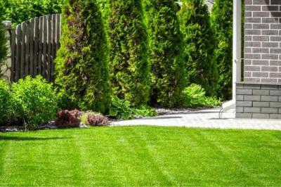 Quality Sod in Atlanta: Your Path to a Beautiful Yard